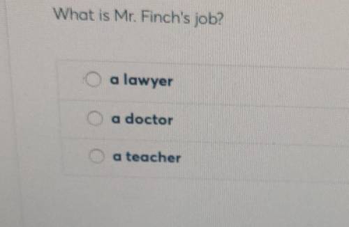What is Mr. Finch's job form to kill a mockingbird​
