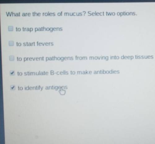 What are the roles of the mucous select two options PLEASE HELP​