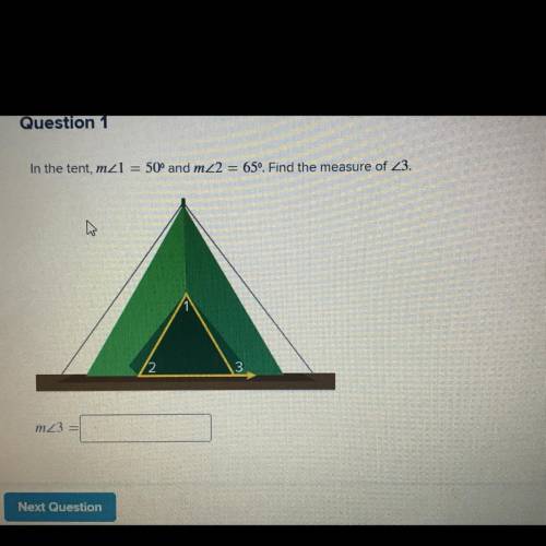 PLEASE HELP ASAP (grade 8 question)