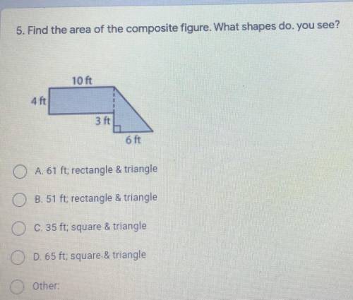 Fine the area of the composite figure. What shape do.you see?