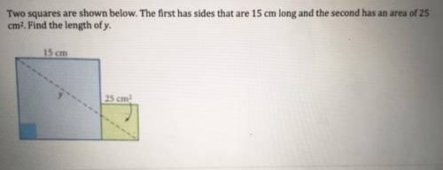 Find the length of y