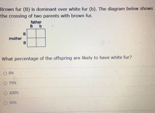 Please help me with this homework question!