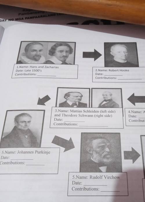 Create a timeline showing a chronological order of these scientists and their main contribution. yo