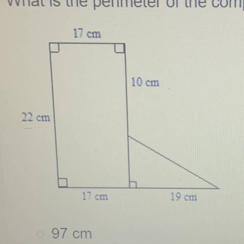 What is the perimeter of the composite figure?
97 cm 85cm 119.5cm or 107.5cm