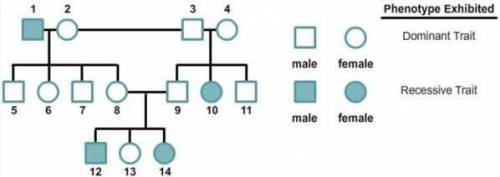 This pedigree chart tracks the inheritance of a recessive trait that is not sex-linked. Based on th