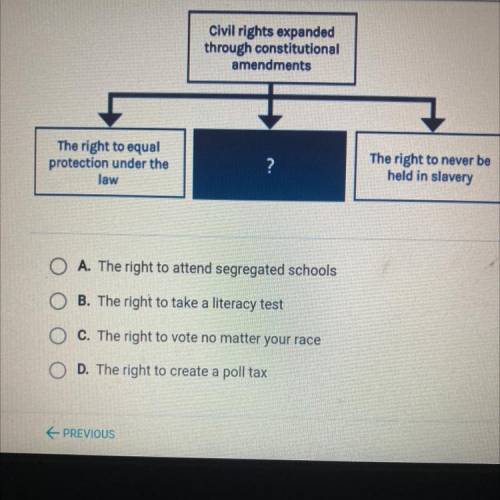 Which phrase best completes the diagram?