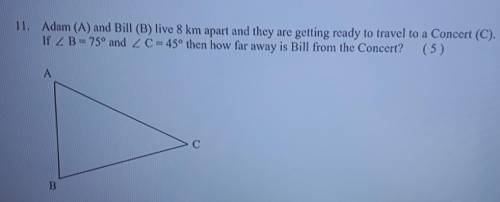 Someone help me answer the trig question in the photo​