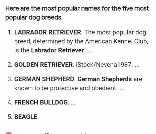 What are 5 different dog breeds