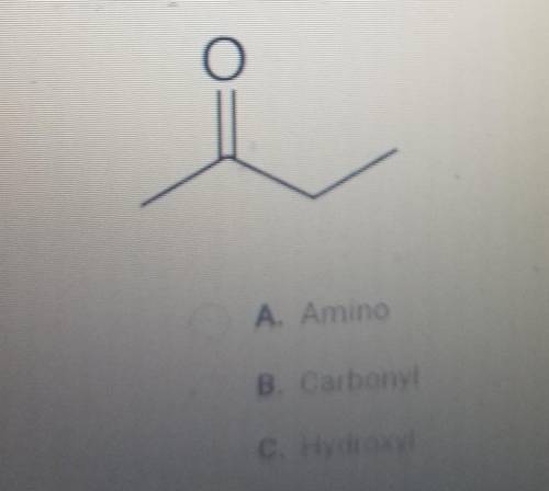 Which functional group does the molecule below contain? A. Amino B. Carbonyl C. Hydroxyl D. Ether ​