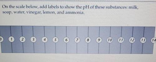 8. On the scale below, add labels to show the pH of these substances: milk, soap, water, vinegar, l