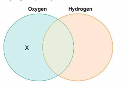 Xavier drew a diagram to compare the roles of oxygen and hydrogen in photosynthesis.
 

Which label