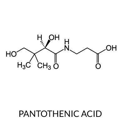 Can someone inidicate for me the carboxylic acid, the alcohol and the amide in pantothenic acid? Th