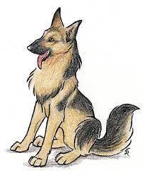 this is my dog max i had to draw him for Art what ya think? if you go to drawings of German Shepher