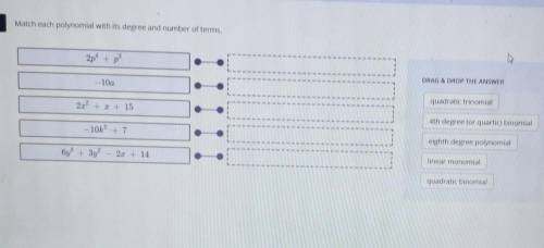 Need help please Match each polynomial with it's degree and number of terms​
