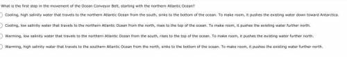 What is the first step in the movement of the Ocean Conveyor Belt, starting with the northern Atlan