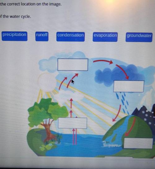 Name the stages of the water cycle ​