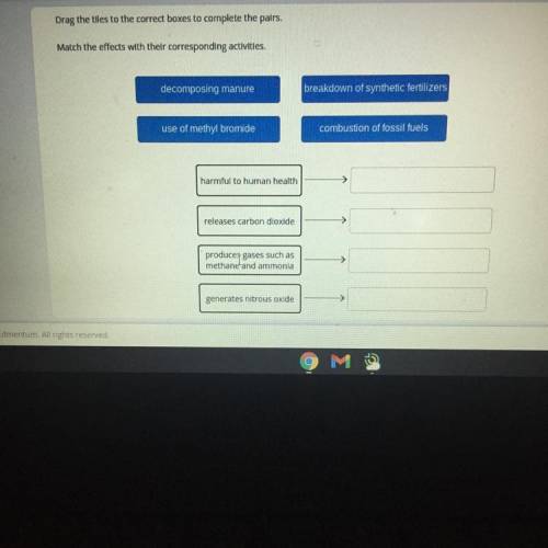 Need help please itss my last question
