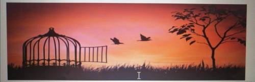 In the image, supposed the value of a cage is -1, each bird has a corresponding value of 2 while th