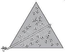 Mr. Schultz has a garden shaped like an equilateral triangle that measures 12 feet on each side. He