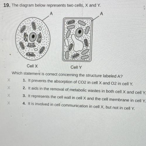 Plz help ASAP I’m having trouble with this question