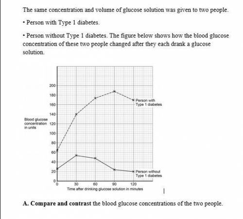 A. Compare and contrast the blood glucose concentrations of the two people.