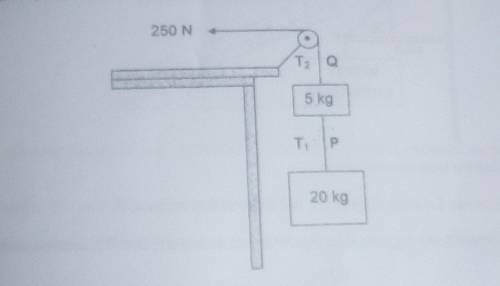 Calculate the magnitude of the tension T1 in string P​