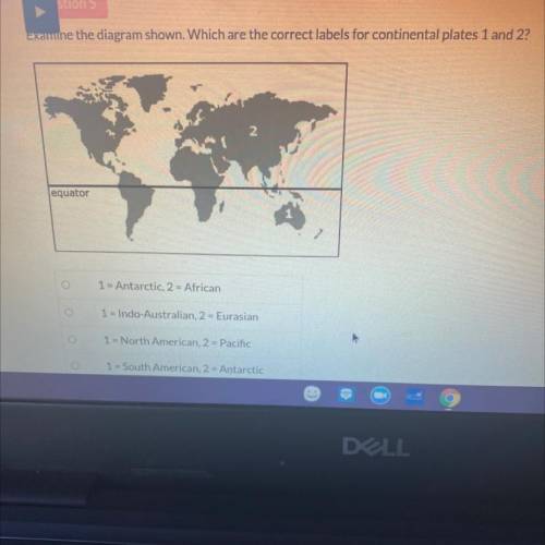 Examine the diagram shown. Which are the correct labels for continental plates 1 and 2?

2
equator