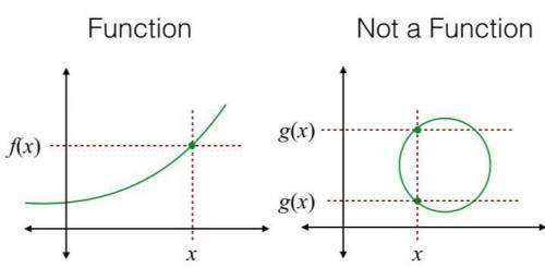 How can you tell if a graph is function or not​