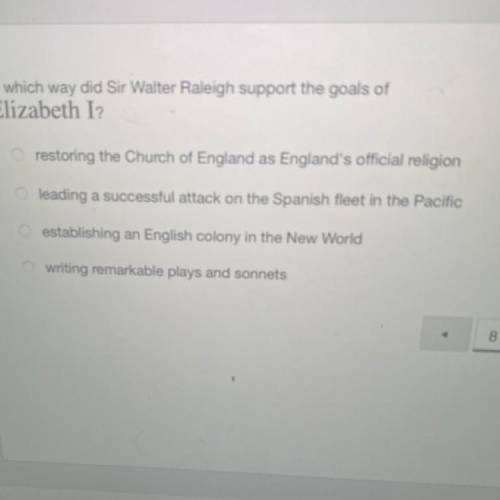 In which way did Sir Walter Raleigh support the goals of
Elizabeth I?