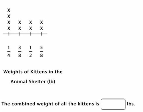 What is the combined weight of all the kittens?

X 
X 
XXXX
XXXX
nlplainticknlplainticknlp