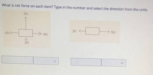 What is net force on each item? Type in the number and select the direction from the units.

6N
3N