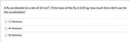 A fly accelerated at a rate of 22 m/s2. If the mass of the fly is 0.05 kg, how much force did it us
