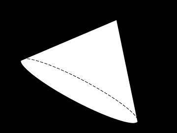 (25 POINTS!) A right triangle was rotated to create this figure. What is true about the axis of rot