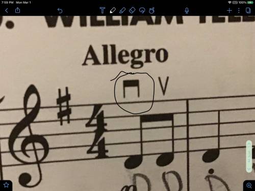 What does this violin thing mean (circled it)