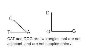 If the two adjacent angles are supplementary then their outer sides are???​