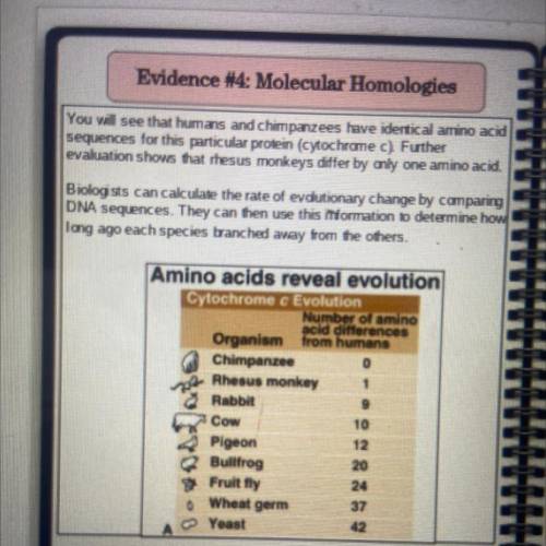 3

Look at the table you completed on the previous page. If
you were b sequence the amm acids for