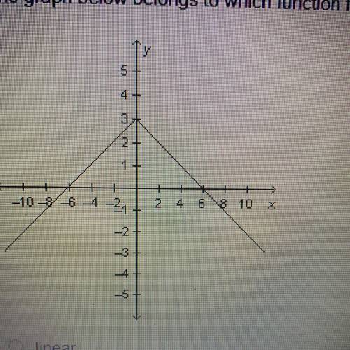 The graph below belongs to which function family?

Linear 
Quadratic 
Cubic 
Absolute value