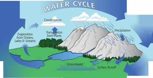 Look at the diagram of the hydrologic cycle, and use it to help you to write a paragraph that expla