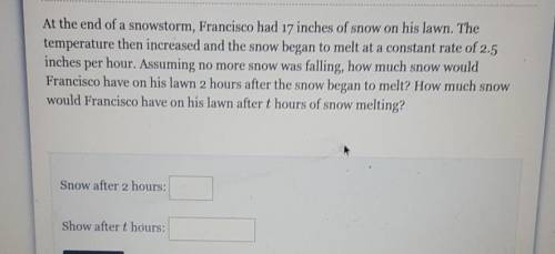 dnw snow storm Francisco had 17 inches of snow on his lawn.the temperature then increased in the sn