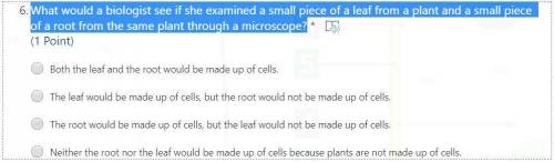 What would a biologist see if she examined a small piece of a leaf from a plant and a small piece o