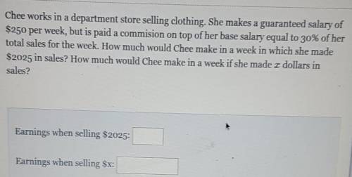 Chee works in a department store selling clothing. she makes a guaranteed salary of $250 per week,