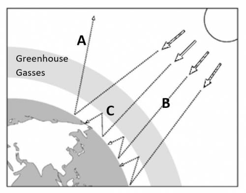 The diagram below shows the same model of the greenhouse effect... Select whether each process help