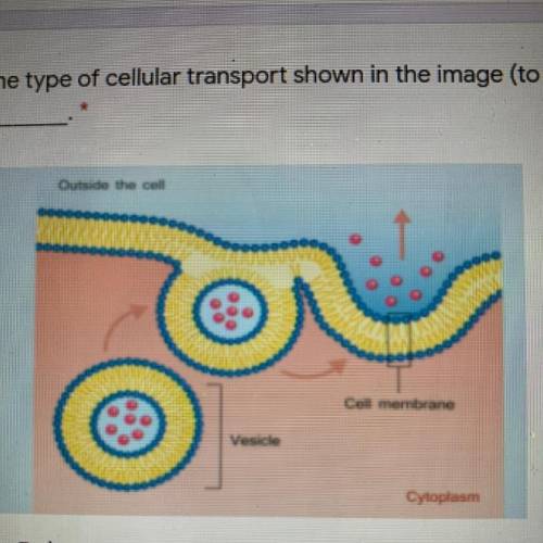 1 point

The type of cellular transport shown in the image (to the right) is called
Endocytosis
Ex