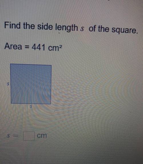 Find the side length s of the squareArea=441 cm^2s= cm​