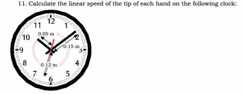 11. Calculate the linear speed of the tip of each hand on the following clock:

No angular acceler