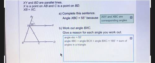 XY and BD are parallel lines.

X is a point on AB and C is a point on BD.
XB = XC.
a) Complete thi