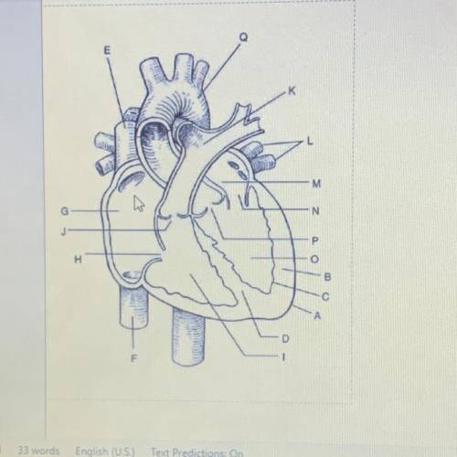Label This Diagram Of The Heart: A-Q
I need help asap please !!!