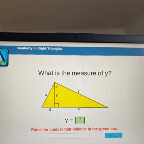 What is the measure of y?
Z
4
9
y = [?]