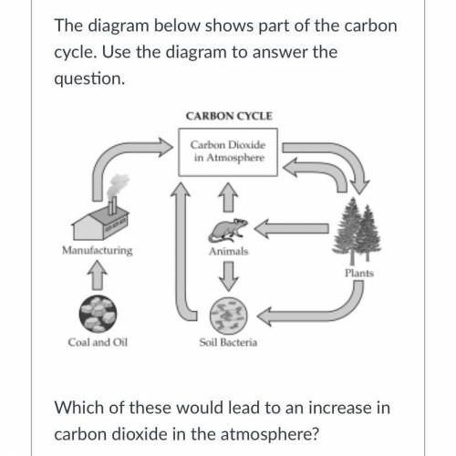 ￼Which of these would lead to an increase in carbon dioxide in the atmosphere?

Group of answer ch