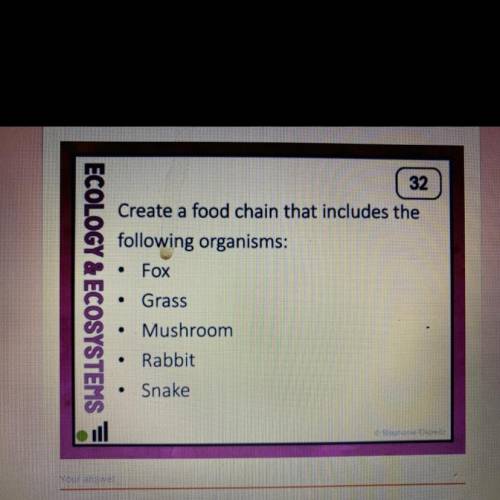Create a food chain directions the following organisms